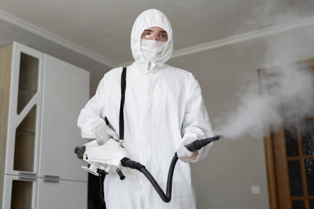  Maili, HI Mold Removal Pros